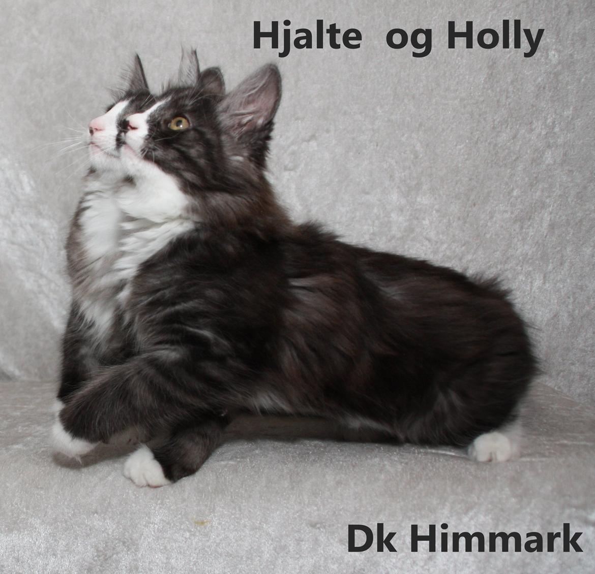 Vores killinger er 12 uger billede 81