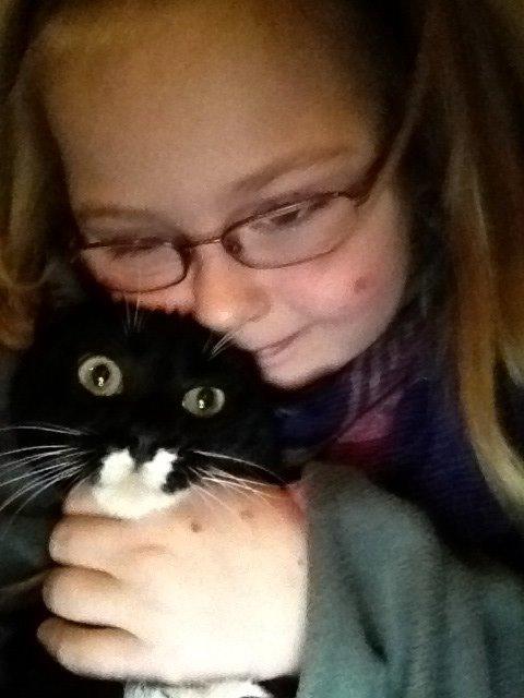 Mine søde katte/kilinger billede 39