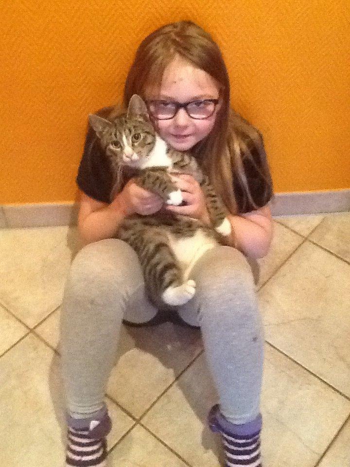 Mine søde katte/kilinger billede 10