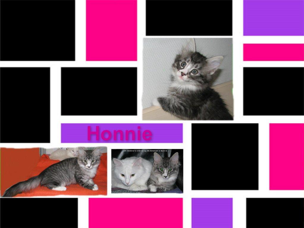 sjove billder jeg  lavet af vors killing   billede 29