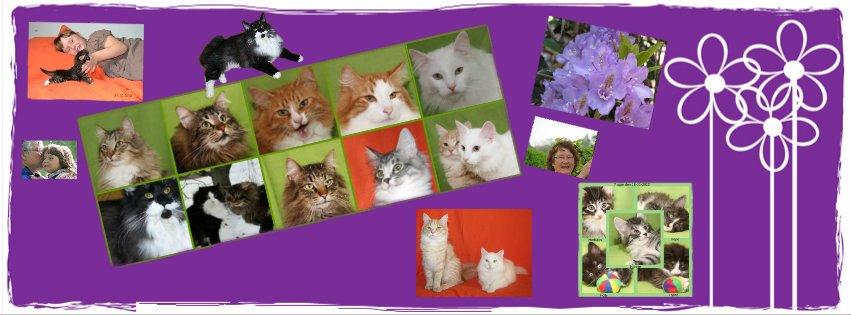 sjove billder jeg  lavet af vors killing   billede 21