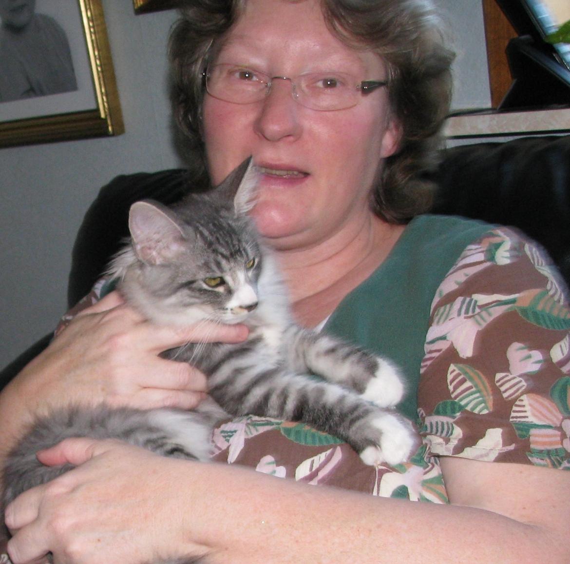 sjove billder jeg  lavet af vors killing   billede 8