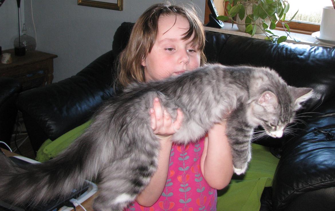 sjove billder jeg  lavet af vors killing   billede 7