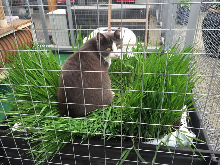 {{currentPhoto.altText}} billede {{currentPhoto.number}}