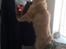 Ginger