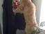 Ginger