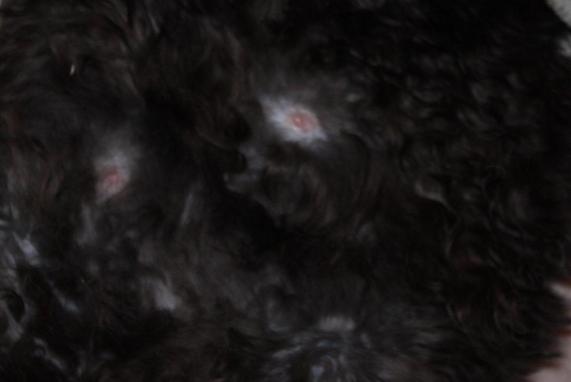 Halvejs :) billede 5