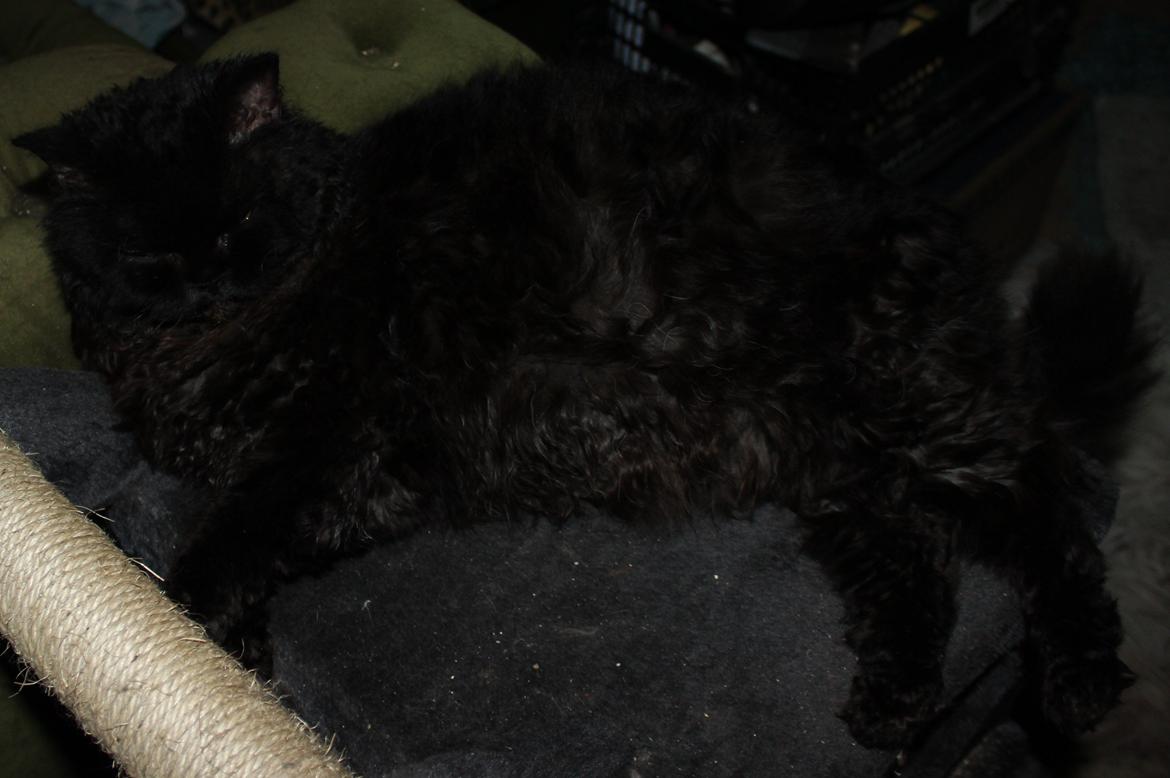 Halvejs :) billede 1