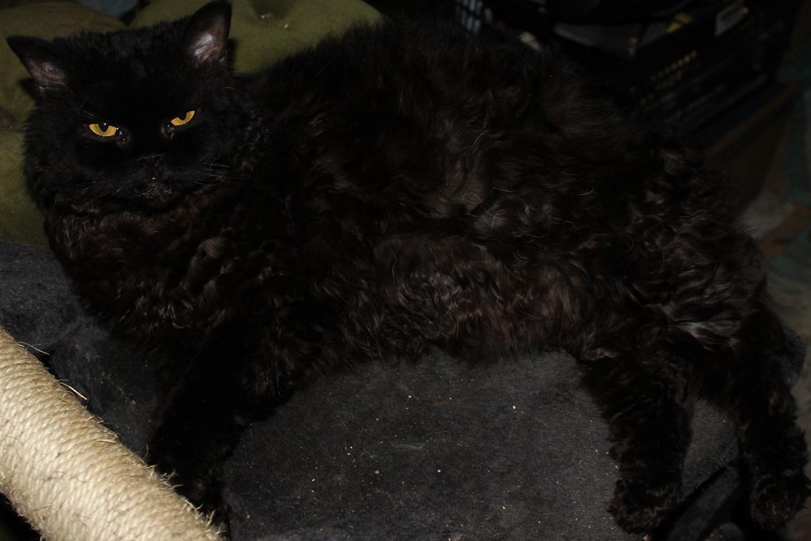 Halvejs :) billede 3