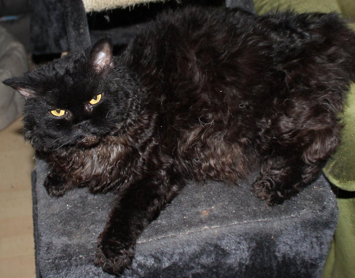 Halvejs :) billede 4