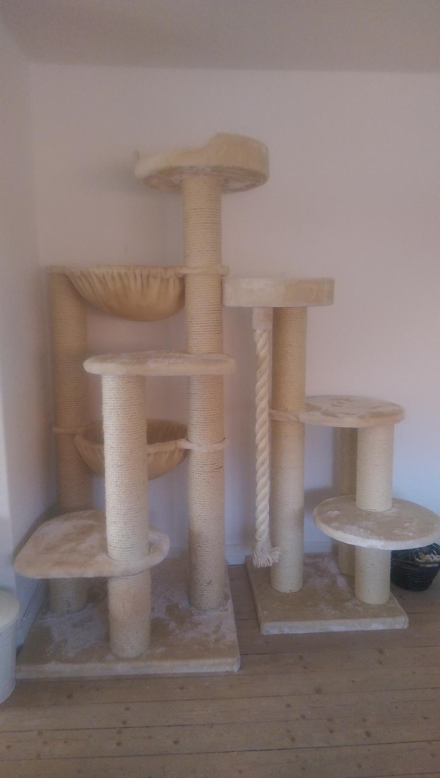 vores lækre katte ting billede 1