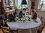 Alle katte er strilleset 