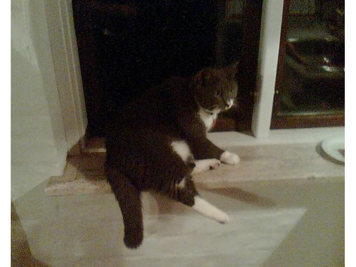 {{currentPhoto.altText}} billede {{currentPhoto.number}}