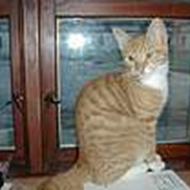 Karlo min misser elsker djig <3<3<3<3  