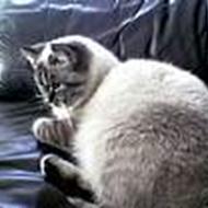 Tina  L