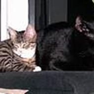 katrine&mads t