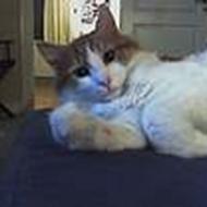 Casper N