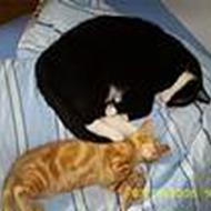 Nanna<3Wolle<3Puzzi<3Mira<3Kenzo<3Dumle<3: )
