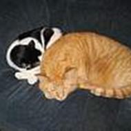 Julie & Morten R. H