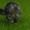 sanne f