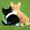 Sanne  A