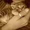Kattens Heaven <3  