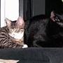 katrine&mads t