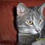 Britta C