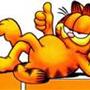 Maine coon-oige P