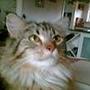 Kitha S