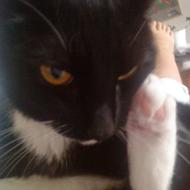 Frederikke, Tiger og Filippa:)<3