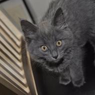 Cleo <3