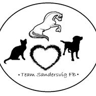 •Team Sandersvig FB•