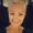 Ditte N