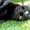 Morten Jack F