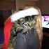 Kirstine Sofie S