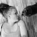 katte foder 