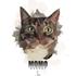 Pantera*Momo*Gaia