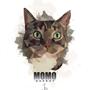 Pantera*Momo*Gaia