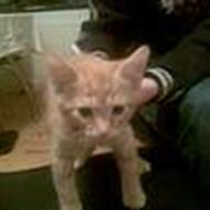 Tina Alicia & Martin  A