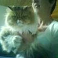 susanne gyldensvrd h