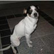 (¯.::krisser::.´¯)  .