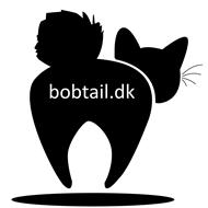 DK * JeaTri´s Kurilean Bobtail