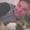 Trille louise j