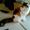 louise n