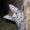 Gitte  M 