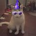 katte foder 