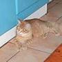 steve  m