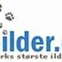 dbilder d