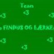 Team ¤*¤ FINDUS OG LÆRKE ¤*¤ A